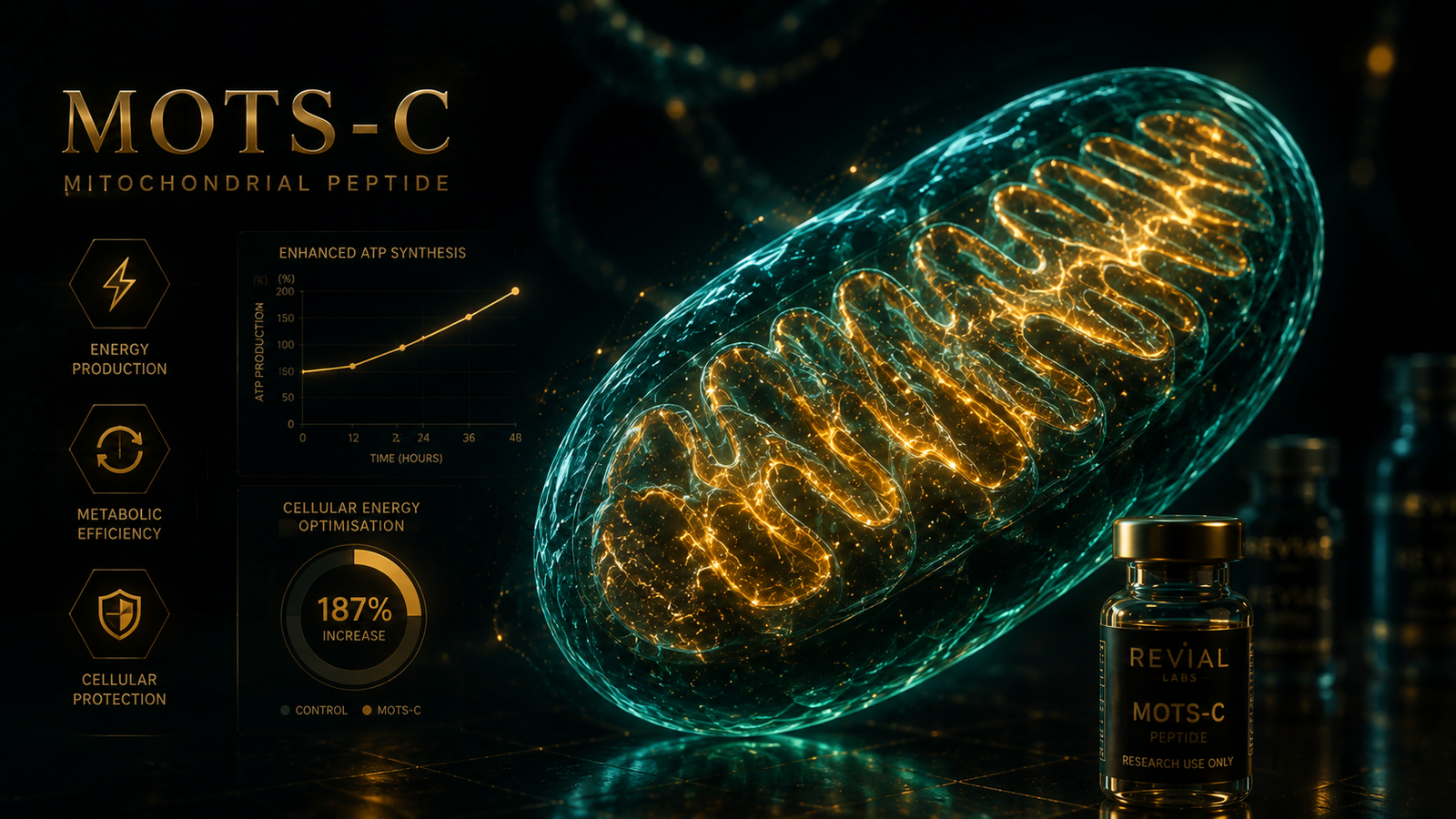 MOTS-C mitochondrial peptide research